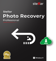 photo recovery box